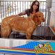 Weiss Guys Self Service Car And Dog Wash | Safem Fabrication - Precision Engineering & Custom Manufacturing Solutions