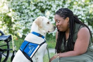 Best Canine Companions for Car Travel My Caring Dog – Tips, Stories, and Care Guides for Loving Pet Owners Best Canine Companions for Car Travel | My Caring Dog – Tips, Stories, and Care Guides for Loving Pet Owners