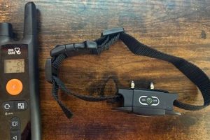 Best Dog Care: TC01 Training Collar Guide Safem Fabrication - Precision Engineering & Custom Manufacturing Solutions Best Dog Care: TC01 Training Collar Guide | Safem Fabrication - Precision Engineering & Custom Manufacturing Solutions