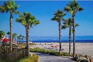 Best Dog Day Care in North County San Diego CA | Safem Fabrication - Precision Engineering & Custom Manufacturing Solutions