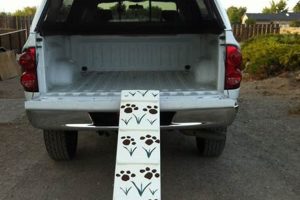 Easy DIY Car Dog Ramp Plans & Designs My Caring Dog – Tips, Stories, and Care Guides for Loving Pet Owners Easy DIY Car Dog Ramp Plans & Designs | My Caring Dog – Tips, Stories, and Care Guides for Loving Pet Owners
