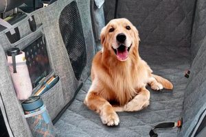 Best Dog Car Seat Covers for Single Seats My Caring Dog – Tips, Stories, and Care Guides for Loving Pet Owners Best Dog Car Seat Covers for Single Seats | My Caring Dog – Tips, Stories, and Care Guides for Loving Pet Owners