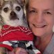 Best Dog Day Care in Chadds Ford, PA | Safem Fabrication - Precision Engineering & Custom Manufacturing Solutions