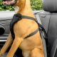 Best Dog Harnesses for Cars: Safe Travel | Safem Fabrication - Precision Engineering & Custom Manufacturing Solutions