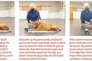 Mastering Cooperative Care Dog Training My Caring Dog – Tips, Stories, and Care Guides for Loving Pet Owners Mastering Cooperative Care Dog Training | My Caring Dog – Tips, Stories, and Care Guides for Loving Pet Owners