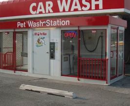 Car & Dog Wash | My Caring Dog – Tips, Stories, and Care Guides for Loving Pet Owners