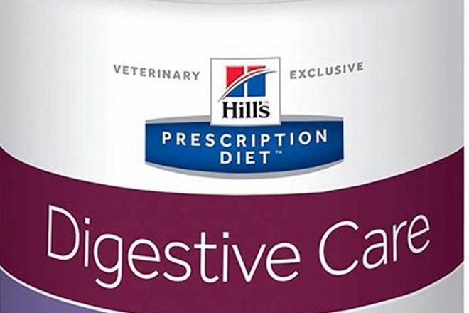 Best Science Diet Digestive Care Canned Dog Food for Gut Health | My Caring Dog – Tips, Stories, and Care Guides for Loving Pet Owners