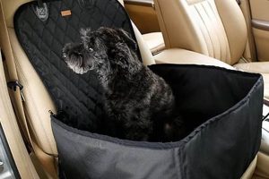 Car Dog Pad My Caring Dog – Tips, Stories, and Care Guides for Loving Pet Owners Car Dog Pad | My Caring Dog – Tips, Stories, and Care Guides for Loving Pet Owners