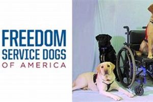 Service Dog Of America My Caring Dog – Tips, Stories, and Care Guides for Loving Pet Owners Service Dog Of America | My Caring Dog – Tips, Stories, and Care Guides for Loving Pet Owners