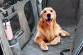 Waterproof Car Dog Seat Cover My Caring Dog – Tips, Stories, and Care Guides for Loving Pet Owners Waterproof Car Dog Seat Cover | My Caring Dog – Tips, Stories, and Care Guides for Loving Pet Owners