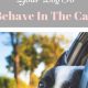 How To Train Your Dog To Behave In The Car | My Caring Dog – Tips, Stories, and Care Guides for Loving Pet Owners