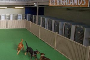 Top 7 Dogs Boarding & Day Care Inc. Services My Caring Dog – Tips, Stories, and Care Guides for Loving Pet Owners Top 7 Dogs Boarding & Day Care Inc. Services | My Caring Dog – Tips, Stories, and Care Guides for Loving Pet Owners