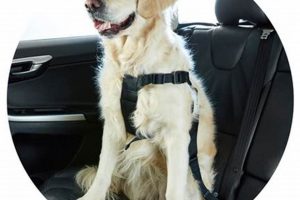 Best Dog Car Harness at Kmart: Safe & Secure My Caring Dog – Tips, Stories, and Care Guides for Loving Pet Owners Best Dog Car Harness at Kmart: Safe & Secure | My Caring Dog – Tips, Stories, and Care Guides for Loving Pet Owners