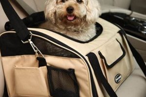 Top Car Pet Carriers for Small Dogs: Travel Safe My Caring Dog – Tips, Stories, and Care Guides for Loving Pet Owners Top Car Pet Carriers for Small Dogs: Travel Safe | My Caring Dog – Tips, Stories, and Care Guides for Loving Pet Owners