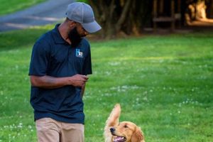 Best Service Dog Training in Raleigh NC: Top Programs My Caring Dog – Tips, Stories, and Care Guides for Loving Pet Owners Best Service Dog Training in Raleigh NC: Top Programs | My Caring Dog – Tips, Stories, and Care Guides for Loving Pet Owners