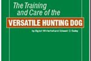 Essential Hunting Dog Training & Care Guide My Caring Dog – Tips, Stories, and Care Guides for Loving Pet Owners Essential Hunting Dog Training & Care Guide | My Caring Dog – Tips, Stories, and Care Guides for Loving Pet Owners