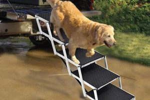 Portable Dog Steps For Car | My Caring Dog – Tips, Stories, and Care Guides for Loving Pet Owners