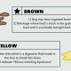 My Dog Vomits In The Car | My Caring Dog – Tips, Stories, and Care Guides for Loving Pet Owners