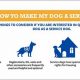 Get a Service Dog for Your Dog: A Guide | My Caring Dog – Tips, Stories, and Care Guides for Loving Pet Owners
