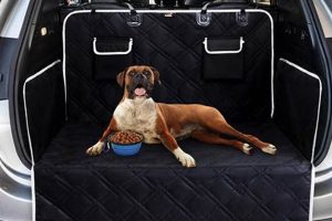 Best Car Protectors for Dogs: Ultimate Guide | My Caring Dog – Tips, Stories, and Care Guides for Loving Pet Owners