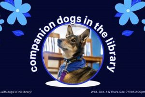 Top Companions Inc: Car Dog Travel Experts My Caring Dog – Tips, Stories, and Care Guides for Loving Pet Owners Top Companions Inc: Car Dog Travel Experts | My Caring Dog – Tips, Stories, and Care Guides for Loving Pet Owners