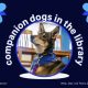 Top Companions Inc: Car Dog Travel Experts | My Caring Dog – Tips, Stories, and Care Guides for Loving Pet Owners