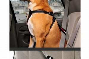 Best Car Seat Belt Attachments for Dogs: Safe Travels My Caring Dog – Tips, Stories, and Care Guides for Loving Pet Owners Best Car Seat Belt Attachments for Dogs: Safe Travels | My Caring Dog – Tips, Stories, and Care Guides for Loving Pet Owners