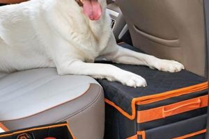 Best Car Back Seat Extenders for Safe Dog Travel My Caring Dog – Tips, Stories, and Care Guides for Loving Pet Owners Best Car Back Seat Extenders for Safe Dog Travel | My Caring Dog – Tips, Stories, and Care Guides for Loving Pet Owners