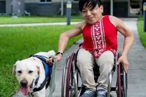 Dogs For Disabled My Caring Dog – Tips, Stories, and Care Guides for Loving Pet Owners Dogs For Disabled | My Caring Dog – Tips, Stories, and Care Guides for Loving Pet Owners