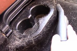 Best Dog Hair Removal Tools for Car: Guide My Caring Dog – Tips, Stories, and Care Guides for Loving Pet Owners Best Dog Hair Removal Tools for Car: Guide | My Caring Dog – Tips, Stories, and Care Guides for Loving Pet Owners