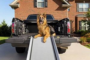 Best Car Dog Ramps For Safe Travel | My Caring Dog – Tips, Stories, and Care Guides for Loving Pet Owners