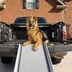 Best Car Dog Ramps For Safe Travel | My Caring Dog – Tips, Stories, and Care Guides for Loving Pet Owners