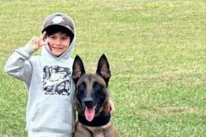 R+k9 My Caring Dog – Tips, Stories, and Care Guides for Loving Pet Owners R+k9 | My Caring Dog – Tips, Stories, and Care Guides for Loving Pet Owners