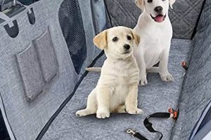 Best Car Hammock for Dogs: Safe & Comfy Travel | My Caring Dog – Tips, Stories, and Care Guides for Loving Pet Owners