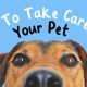 The Ultimate Guide to Dog Pet Care | My Caring Dog – Tips, Stories, and Care Guides for Loving Pet Owners