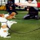 Best Dog Training Near Me: Local Trainers | My Caring Dog – Tips, Stories, and Care Guides for Loving Pet Owners