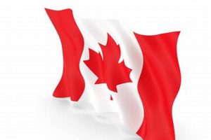 Psds Canada My Caring Dog – Tips, Stories, and Care Guides for Loving Pet Owners Psds Canada | My Caring Dog – Tips, Stories, and Care Guides for Loving Pet Owners