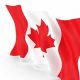 Psds Canada | My Caring Dog – Tips, Stories, and Care Guides for Loving Pet Owners
