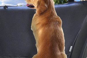 Best Car Door Guards For Dogs: Ultimate Protection My Caring Dog – Tips, Stories, and Care Guides for Loving Pet Owners Best Car Door Guards For Dogs: Ultimate Protection | My Caring Dog – Tips, Stories, and Care Guides for Loving Pet Owners