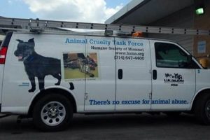 Best Animal Rescue Centers in St. Louis, MO My Caring Dog – Tips, Stories, and Care Guides for Loving Pet Owners Best Animal Rescue Centers in St. Louis, MO | My Caring Dog – Tips, Stories, and Care Guides for Loving Pet Owners