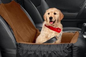 Best Dog Bed Car Harness for Safe Travel My Caring Dog – Tips, Stories, and Care Guides for Loving Pet Owners Best Dog Bed Car Harness for Safe Travel | My Caring Dog – Tips, Stories, and Care Guides for Loving Pet Owners