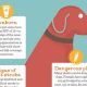 Essential Pet Dog Care Tips & Tricks | My Caring Dog – Tips, Stories, and Care Guides for Loving Pet Owners