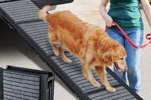 Dog Car Ramps For Large Dogs My Caring Dog – Tips, Stories, and Care Guides for Loving Pet Owners Dog Car Ramps For Large Dogs | My Caring Dog – Tips, Stories, and Care Guides for Loving Pet Owners