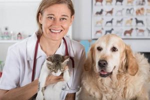 Essential Guide to Dog Pet Health & Wellness My Caring Dog – Tips, Stories, and Care Guides for Loving Pet Owners Essential Guide to Dog Pet Health & Wellness | My Caring Dog – Tips, Stories, and Care Guides for Loving Pet Owners