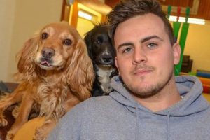 Dog Day Care Tiverton My Caring Dog – Tips, Stories, and Care Guides for Loving Pet Owners Dog Day Care Tiverton | My Caring Dog – Tips, Stories, and Care Guides for Loving Pet Owners