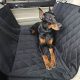 Best 4Knines Dog Car Seat Covers: Ultimate Protection | My Caring Dog – Tips, Stories, and Care Guides for Loving Pet Owners
