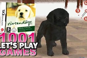 Best DS Dog Care Games: Top Virtual Pets My Caring Dog – Tips, Stories, and Care Guides for Loving Pet Owners Best DS Dog Care Games: Top Virtual Pets | My Caring Dog – Tips, Stories, and Care Guides for Loving Pet Owners