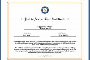 Service Dog Certification in Florida: Your Guide My Caring Dog – Tips, Stories, and Care Guides for Loving Pet Owners Service Dog Certification in Florida: Your Guide | My Caring Dog – Tips, Stories, and Care Guides for Loving Pet Owners