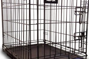 ASPCA Kennels: Safe Havens for Animals My Caring Dog – Tips, Stories, and Care Guides for Loving Pet Owners ASPCA Kennels: Safe Havens for Animals | My Caring Dog – Tips, Stories, and Care Guides for Loving Pet Owners