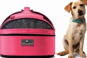 Top Sleepypod Dog Car Seats: Safety & Comfort My Caring Dog – Tips, Stories, and Care Guides for Loving Pet Owners Top Sleepypod Dog Car Seats: Safety & Comfort | My Caring Dog – Tips, Stories, and Care Guides for Loving Pet Owners
